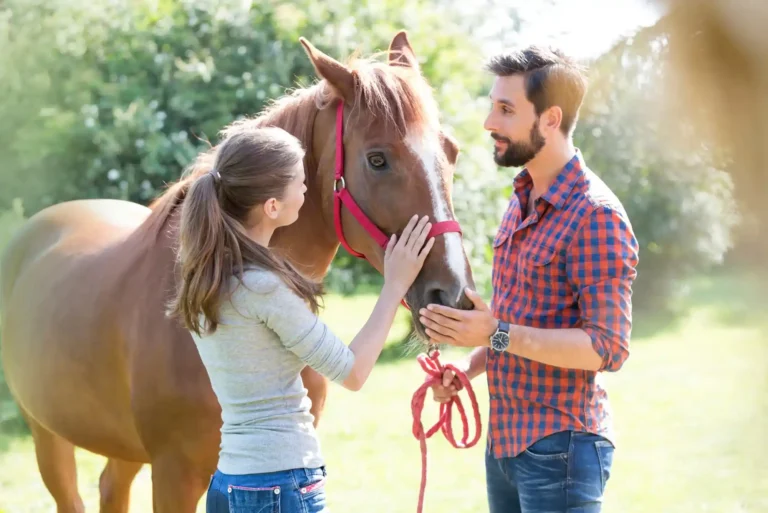 How to Choose a Reliable Horse Betting Site How to Choose a Reliable Horse Betting Site